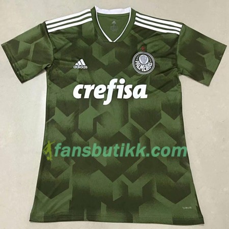 Fotballdrakt Palmeiras 2018/19 Tredjetrøye Kortermet